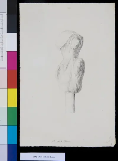 Bones of the upper leg (femur) or arm (humerus)