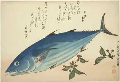 Bonito and saxifrage, from an untitled series of fish