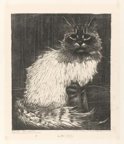 Bonte Angora