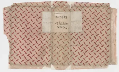 Book cover for Aesopi et Aliorum Fabulae with overall dash design