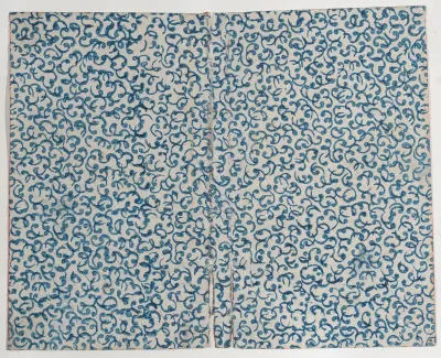 Book cover with blue curved line pattern