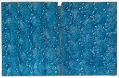 Book cover with curved blue pattern