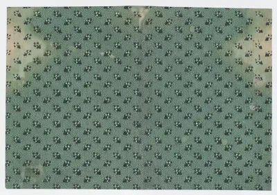 Book cover with overall dot design with bouquets