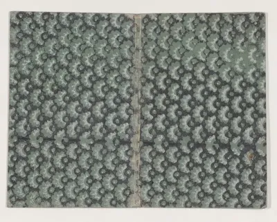 Book cover with overall green and black abstract pattern