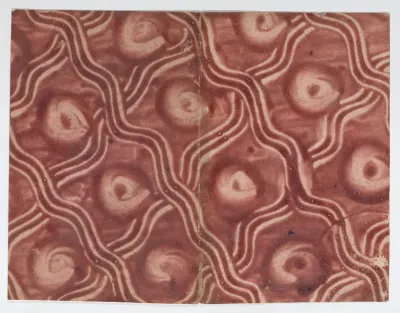 Book cover with overall pattern of red curved lines
