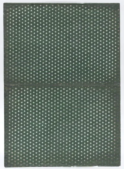 Book cover with overall pattern of stars and stripes