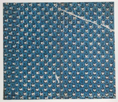 Book cover with overall pattern of stars within ovals
