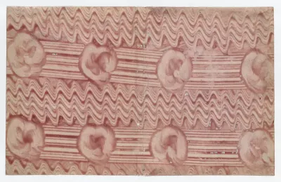 Book cover with overall red curved line pattern
