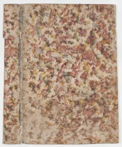 Book cover with overall splotchy pattern