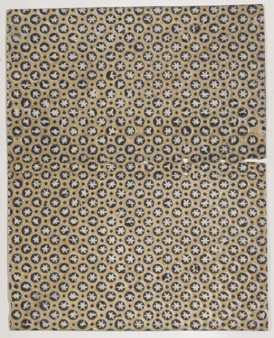 Book cover with overall star pattern