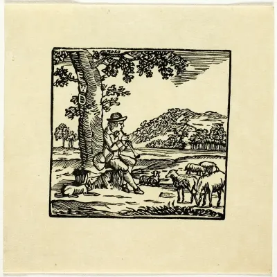 Book Illustration