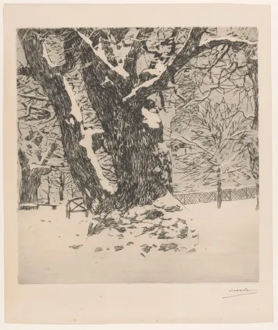 Boom in een besneeuwd veld