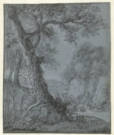 Boom in een heuvelachtig landschap met een waterval en rotsen