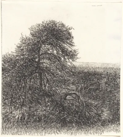 Boom in vlak landschap