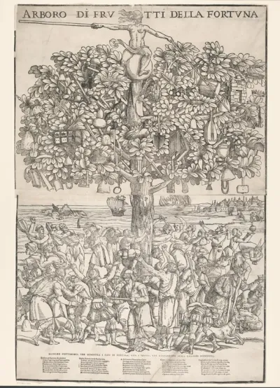 Boom van Fortuna