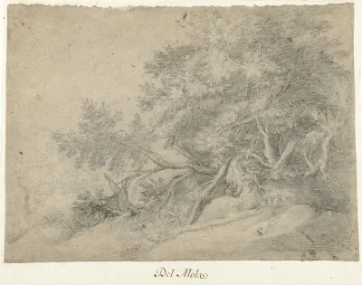 Boomgroep in een bergachtig landschap