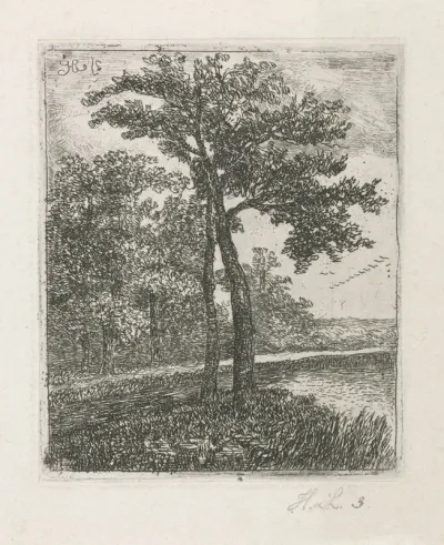 Boomrijk landschap met eenden