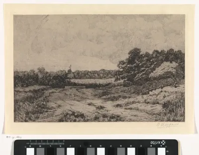 Boomrijk landschap met molen