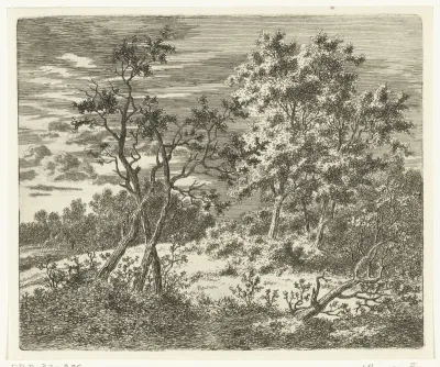Boomrijk landschap met ruiter en voetganger