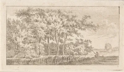 Boomrijk rivierlandschap met visser