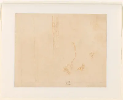 Boomstudies