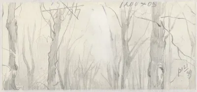 Boomstudies