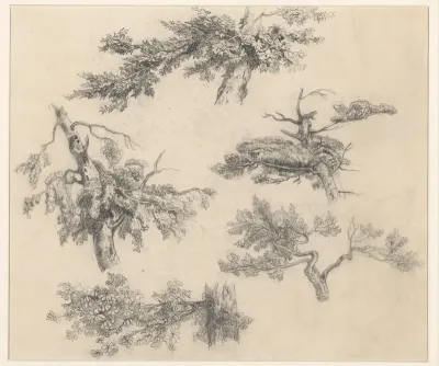 Boomstudies
