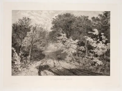 Borrevejle Skov