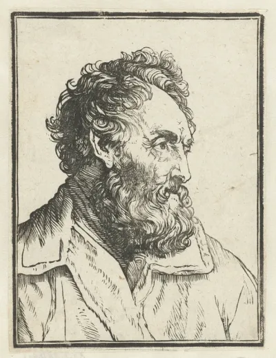 Borstbeeld van een man met baard