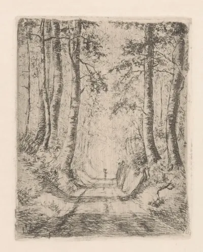 Bos langs een holle weg