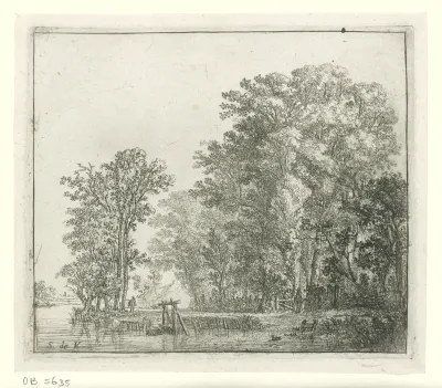 Bos langs een vaart