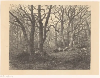 Bos met kale bomen