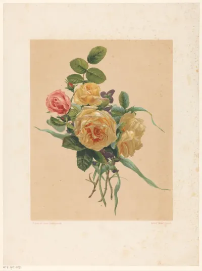 Bos rozen en violen