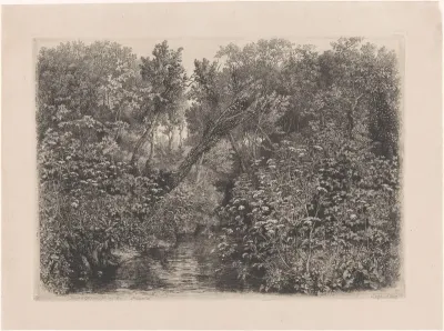 Bosbeek met schermbloemen