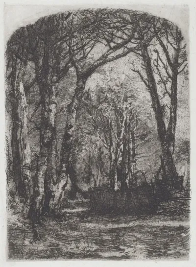 Bosco [Woods]