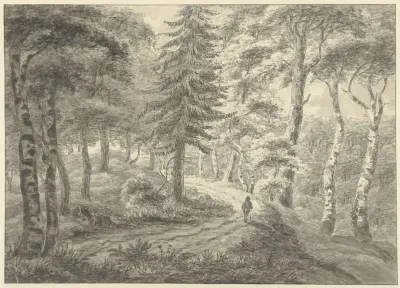 Bosgezicht