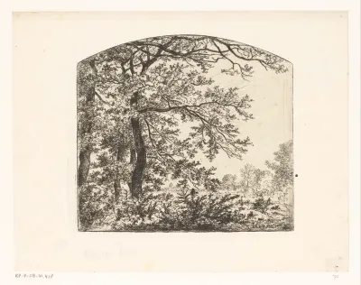 Bosgezicht bij La Feuillée