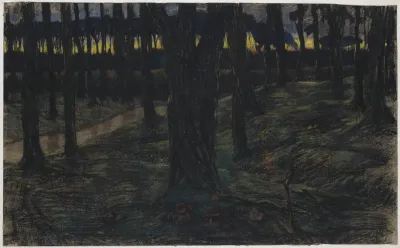 Bosgezicht bij zonsondergang