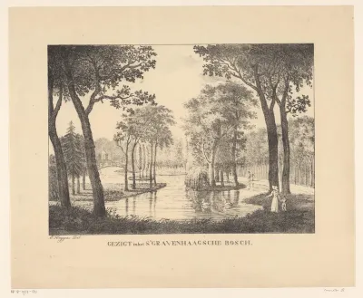 Bosgezicht in Den Haag