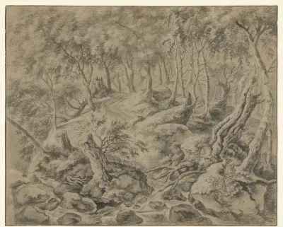 Bosgezicht in het Bois de Soignes bij Brussel