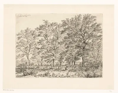 Bosgezicht met een wandelaar