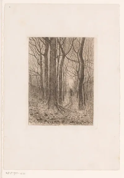 Bosgezicht met figuur