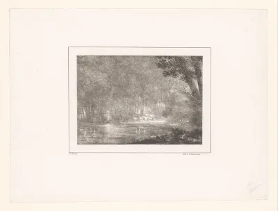 Bosgezicht met huizen en water