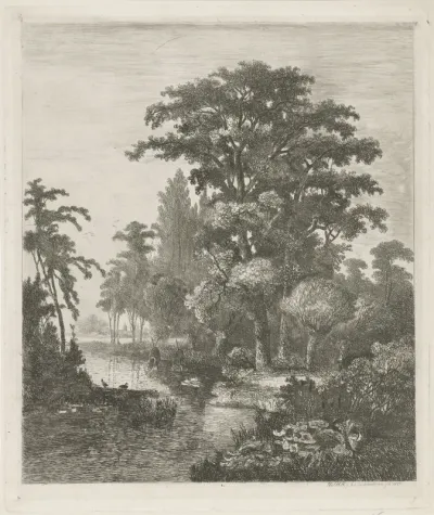 Bosgezicht met twee eendennesten in een rivier