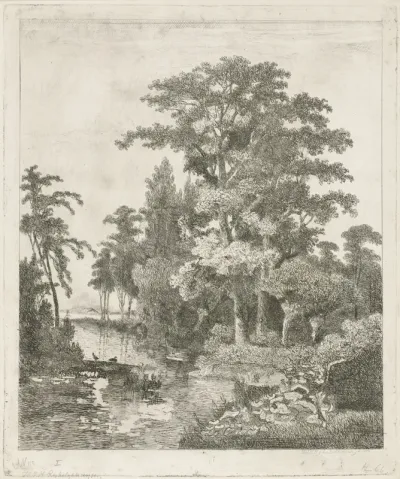 Bosgezicht met twee eendennesten in een rivier