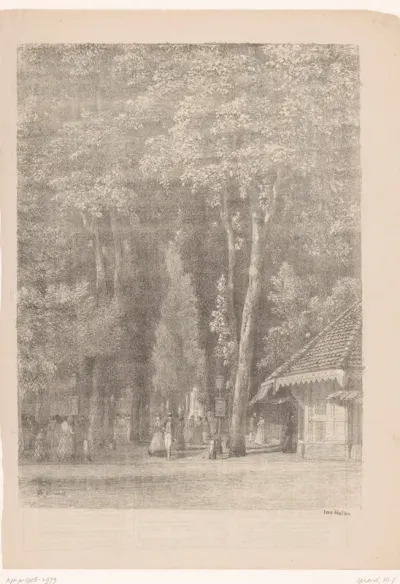 Bosgezicht met wandelaars