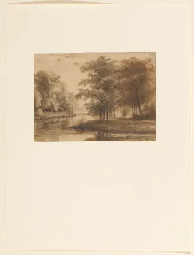 Bosgezicht met water te Haarlem