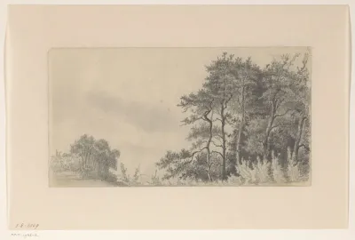 Bosgezicht te Klarenbeek