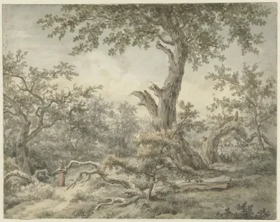 Boslandschap