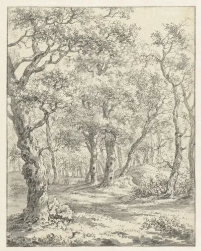 Boslandschap